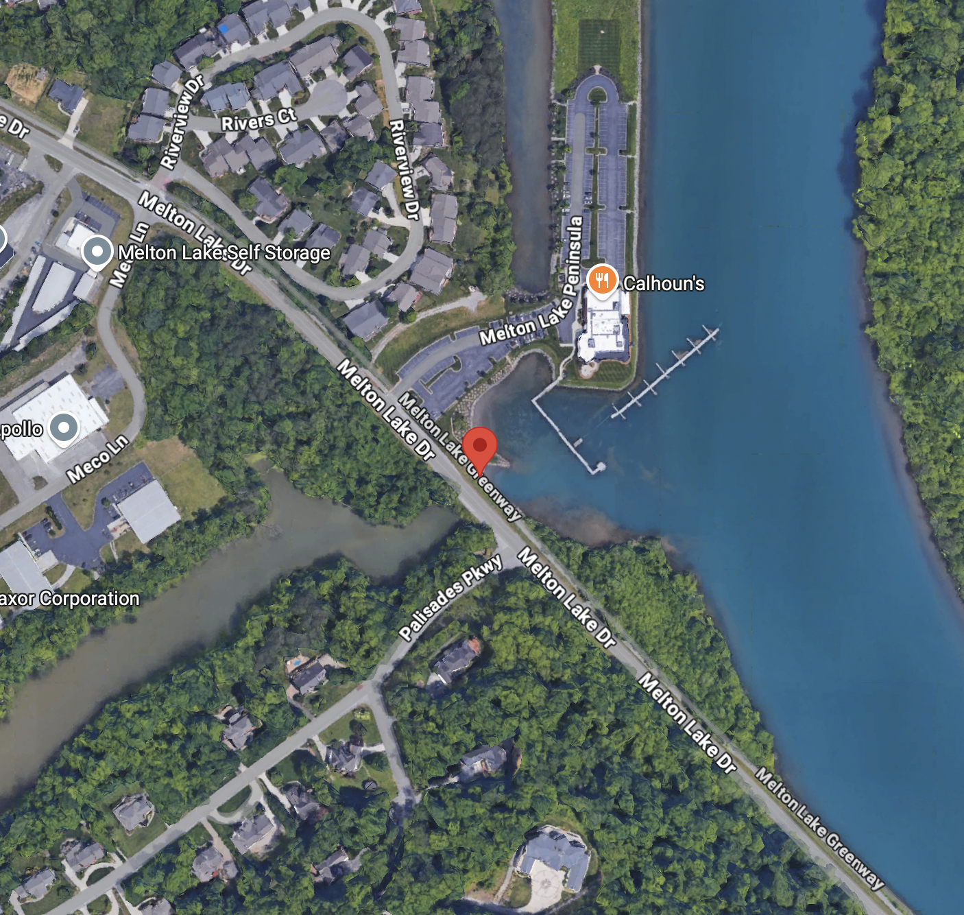 An aerial map of Oak Ridge, TN, showing the location of the cicadas with a marker, near Calhoun's restaurant.