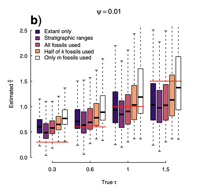 Figure 4b from Beaulieu and O'Meara (2022), showing the estimated turnover rate with different true turnover rates and different way of running the analysis. It shows a grouping of box plots, with red lines showing the true values. Using extant data only performed far better than using extant with sampled fossil tips; using all the parent and terminal fossils performed about as well as no fossils at all.