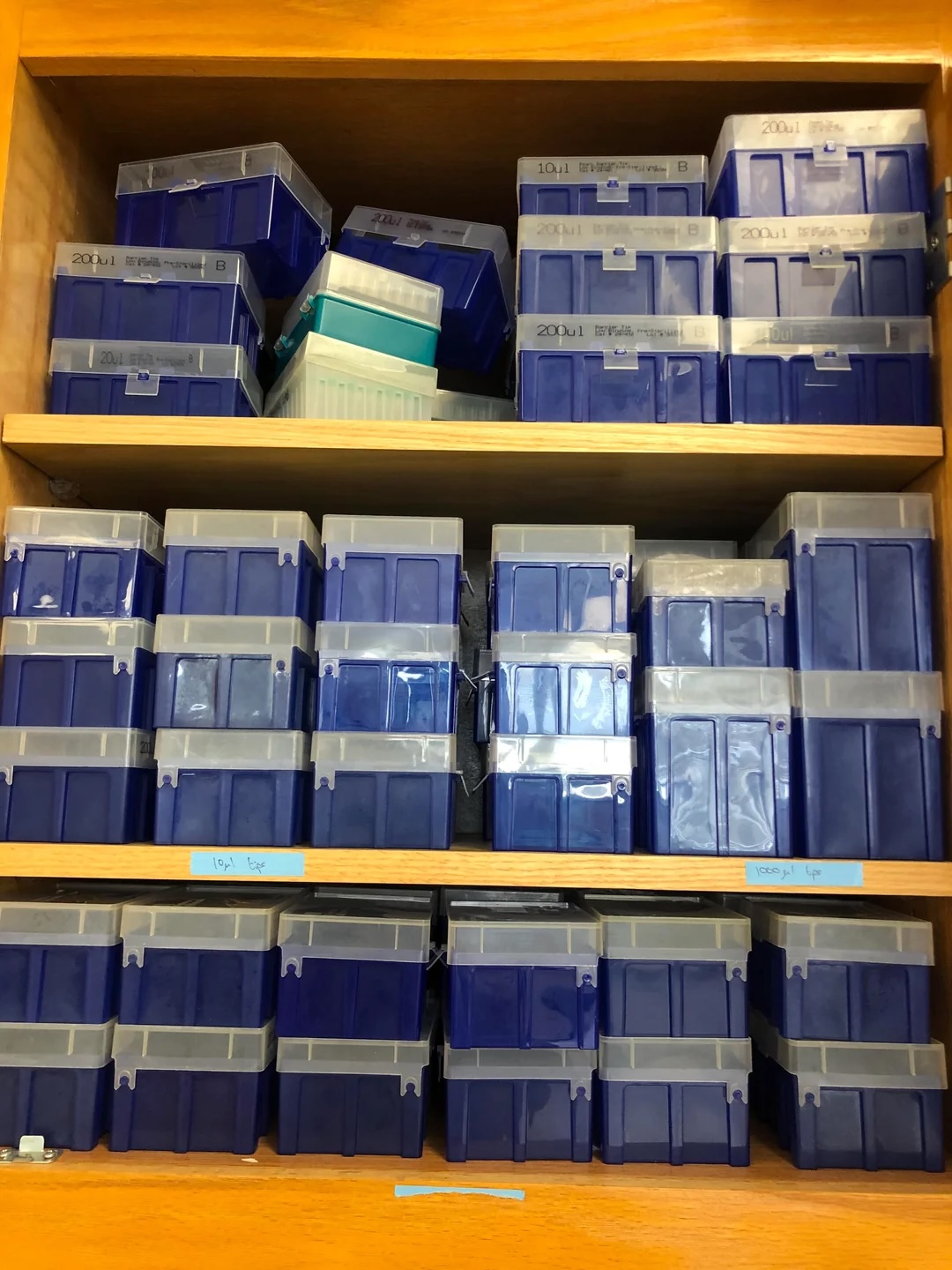 Stack of about forty empty pipette boxes: navy blue boxes, most for 200 µl pipette tips, with opaque white covers, in a wood cabinet.